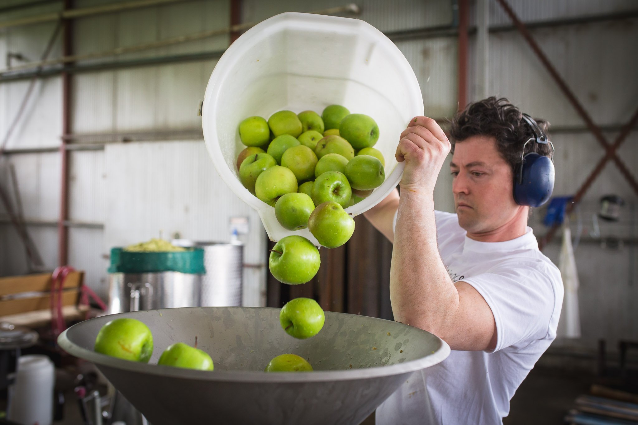 Juicing Granny Smith Apples to make cider